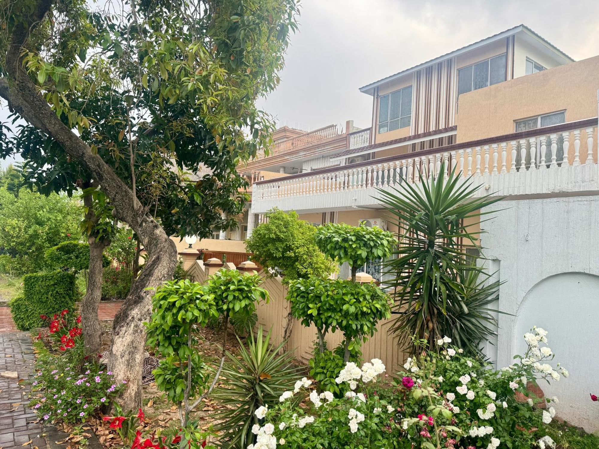 Decent Lodge Guest House Ισλαμαμπάντ Εξωτερικό φωτογραφία